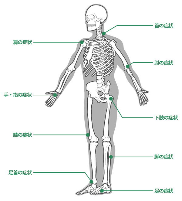 全身の骨・関節・筋肉にかかわるケガや病気の治療